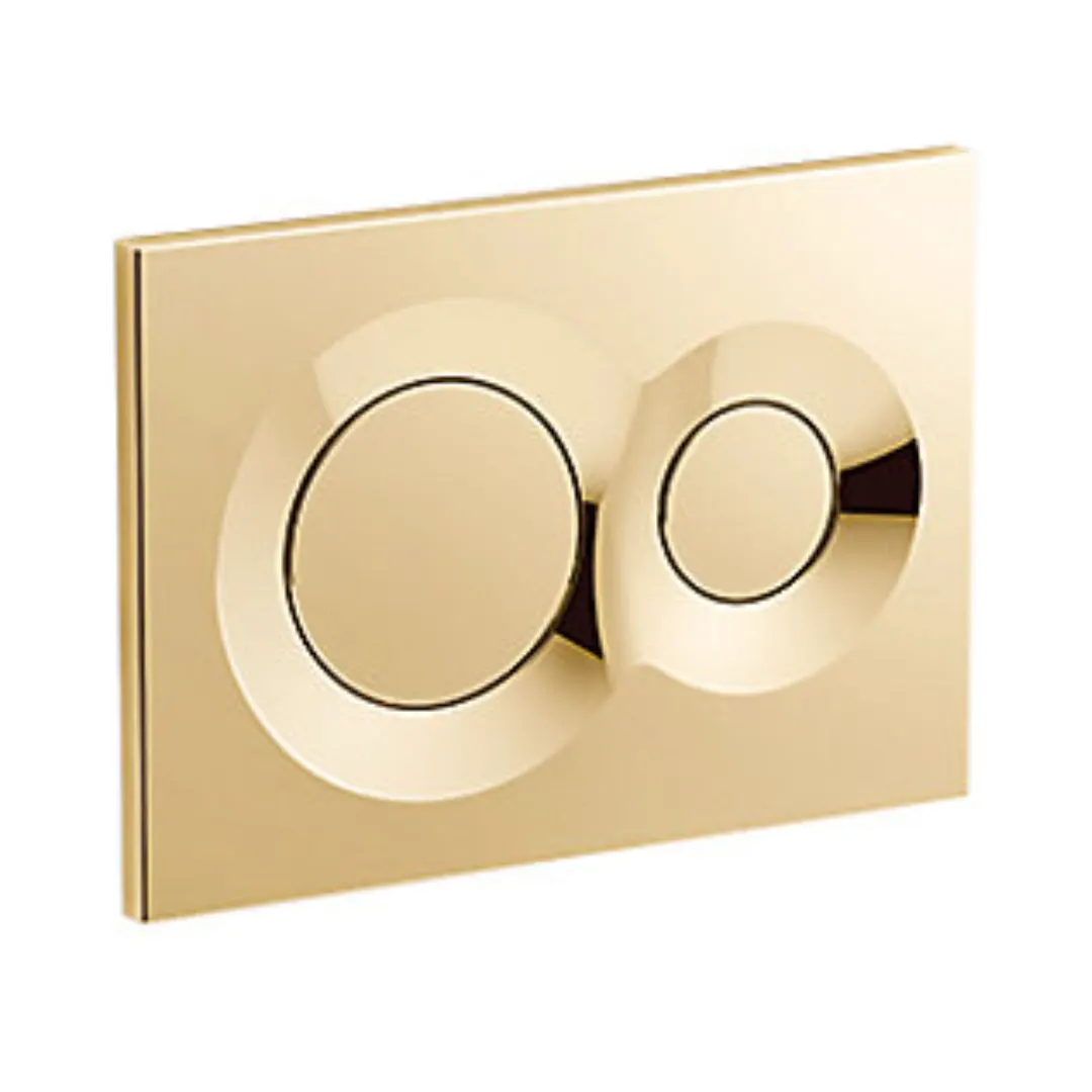Kohler flush plate lynk K-75890IN-M-AF